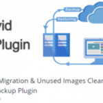 capture présentatnt le plugin WPvivid Backup Plugin